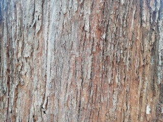 old wood texture