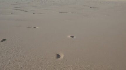 White sand texture background