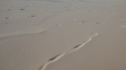 White sand texture background
