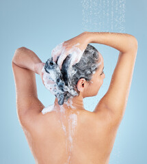 Woman, shower and hair for shampoo in studio with back for cleaning, growth and dandruff by blue background. Girl, person and model with water drops for product, soap and foam with scalp wellness