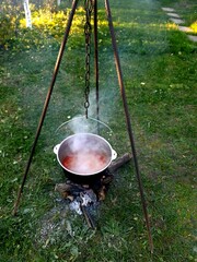 a cauldron of soup 