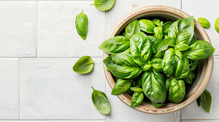 Pot with fresh green basil on white tile table