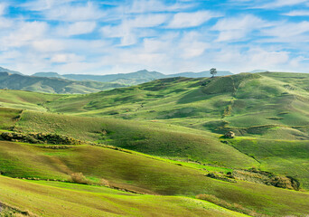 Obraz premium beautiful rural view at summer or spring season fields and hills with rustic grassland and nice mountains with blue cloudy sky on background of countyside landscape