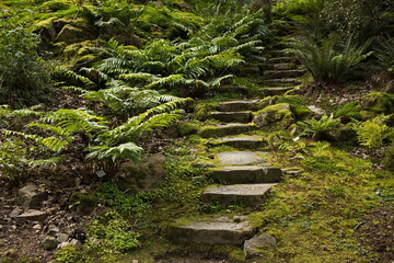 Fototapeta premium Footpath in botanical garden in Göteborg, Sweden, Europe 