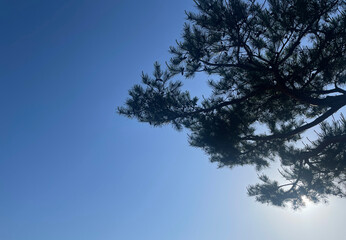 sky party