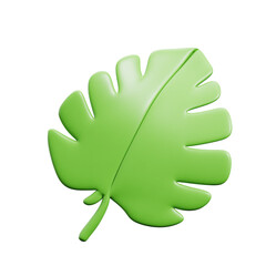 monstera leaf tropical plant house decoration 3d icon illustration render design