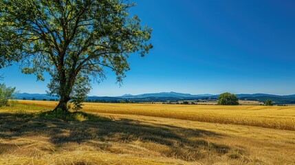 Fototapeta premium Scenic summer landscapes under a clear blue sky