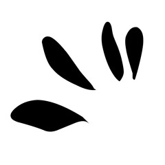 Doodle shine sunburst sparkle ray elements. Hand drawn pop surprise line. Vector ilustration