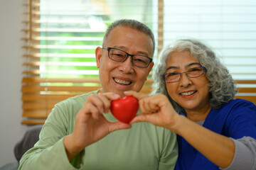 Smiling senior male patient and general practitioner holding red heart. Healthcare concept