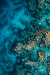 Obraz premium Aerial view of the great barrier reef.