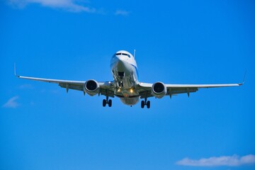 伊丹空港からみた飛行機