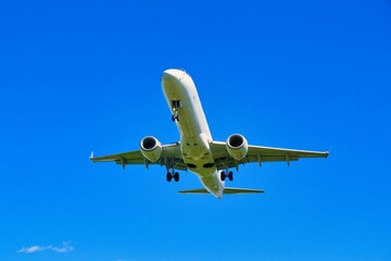 伊丹空港からみた飛行機