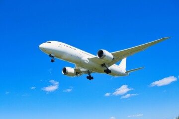 伊丹空港からみた飛行機