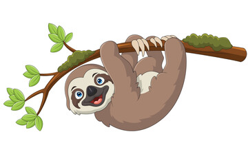 Cartoon sloth hanging on a tree branch © REYYARTS
