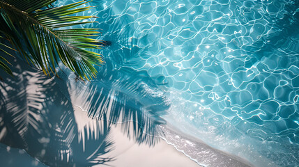 Tropical leaf shadow over the sea surface