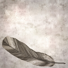 Textured old paper background with feather line drawing