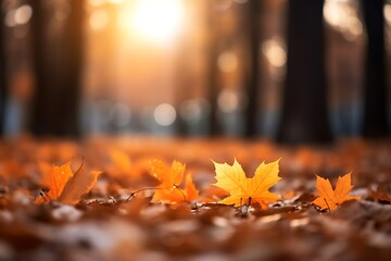 Naklejka na ściany i meble Autumn maple leaves in the park. Autumn background. Selective focus.
