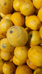 Close up pile of tasty fresh limes sold at the market as a background.