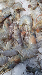 Close up photo of fresh shrimp on ice sold at the market.