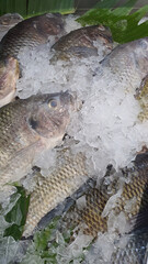 Close up photo of fresh fish on ice sold at the market.