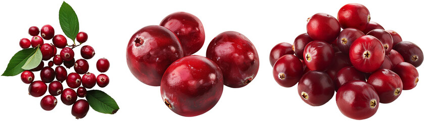 Cranberry collection isolated on a white background