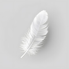 White fluffy feather isolated on light grey background