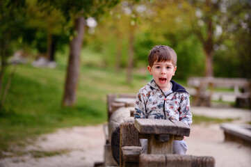 This captivating photo captures a young boy expressing excitement while playing in a rustic wooden...