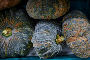 Heap of  pumpkin for sale at market stall