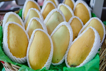 Pile of ripe mangoes for sale at market 