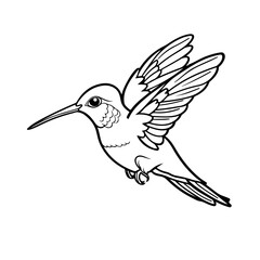 Fototapeta premium Simple Vector Outline, Simple line art coloring page of hummingbird flying for kids' book.