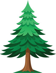 pine tree vector illustration, christmas tree