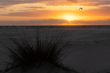 Kitesurfer flying kite boarding and surfing at sunset with bright yellow sky next to beach with...