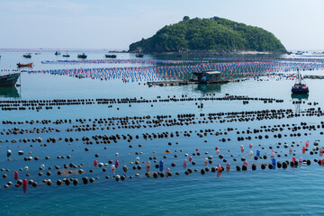 Dalian Changhai County Changshan Island Marine Aquaculture Farm