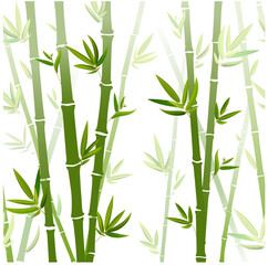 Green bamboo trees. Bamboo stems with leaves on white background. Vector illustration