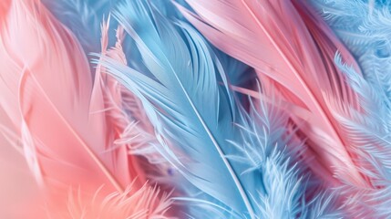 Fototapeta premium Soft and fluffy colored feathers.