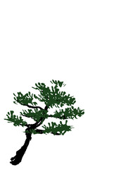 シンプルな松の木のイラスト