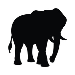 silhouette of a elephant animal