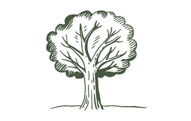 Obraz premium Oak tree doodle engraved style, vector illustration