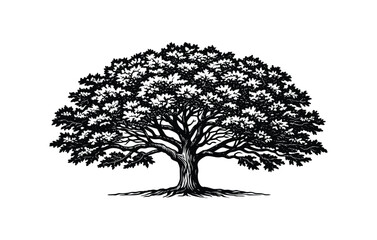 Black and white tree in woodcut engraving style, vector illustration
