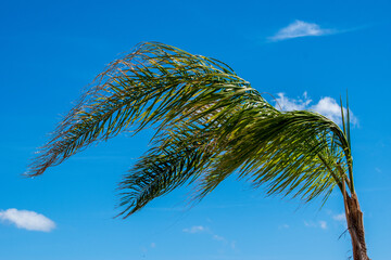 vento forte @ via del brigantino, positano