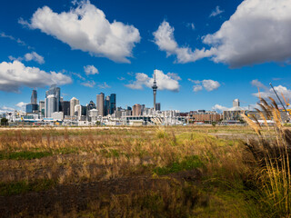 Auckland City and Viaduct skyline