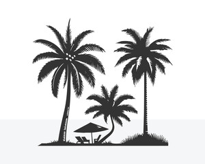 palm tree black silhouettes Vector  white background 