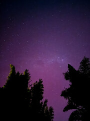 Solar flare storm and Southern light in Auckland in 2024.