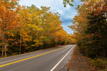 Obraz premium Scenic view of a road with trees with the Autumn colors foliage in the State of Maine, USA.