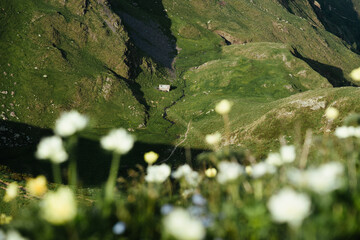 Green hills of Monte Avaro, in the Orobie Alps