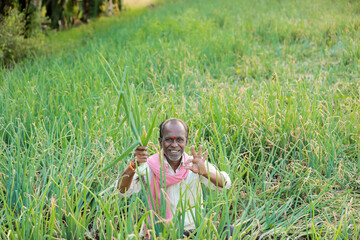 Indian farmer holding onion plant in hand