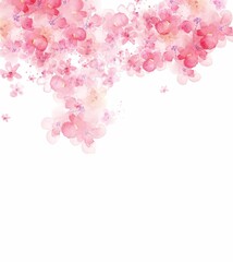 Fototapeta premium background flowers sagura