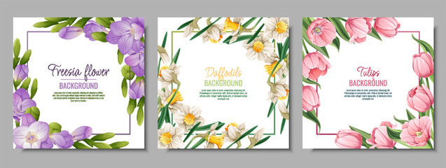 Naklejka premium Set of banner templates with spring flowers. Postcard, poster with tulips, daffodils, freesia. Vector illustration of delicate flowers in cartoon style for card, invitation, background, etc.