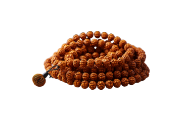 Rudraksha Mala isolated on transparent background.