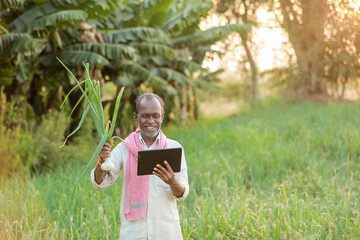 Indian farm worker holding tablet